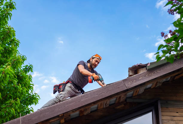 Trusted Schiller Park, IL Roofing service Experts